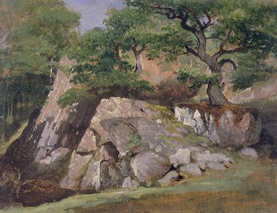 A View of the Valley of Rocks Near Mittlach by James Arthur O